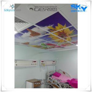 Gergi Tavan Gökyüzü Panel 17