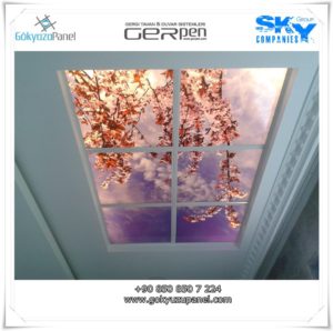 Gergi Tavan Gökyüzü Panel 3