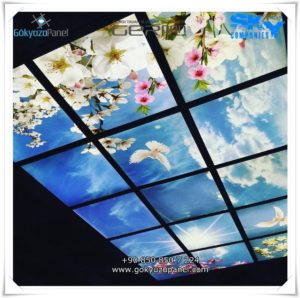 Gergi Tavan Gökyüzü Panel 6