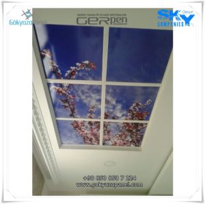 Gergi Tavan Gökyüzü Panel 8