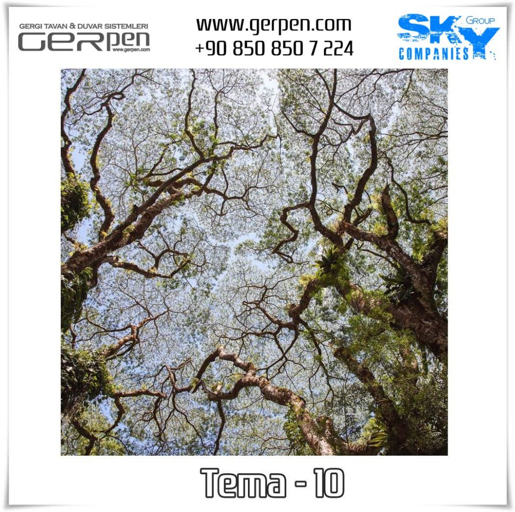 Gergi Tavan Ağaçlı Gökyüzü Tema 10