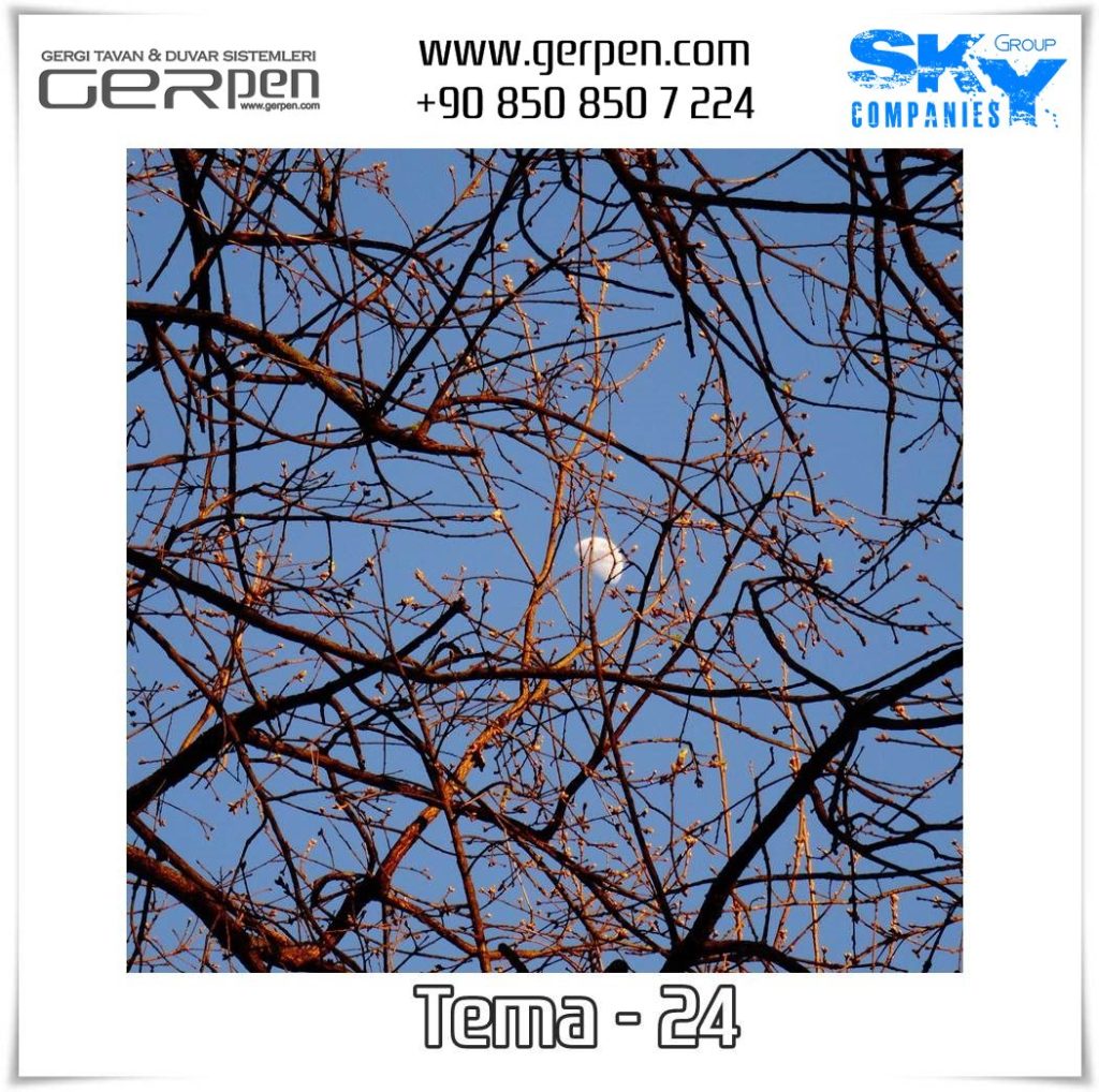 Gergi Tavan Ağaçlı Gökyüzü Tema 24